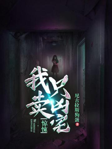 惊悚我只卖凶宅主角的缺陷是什么