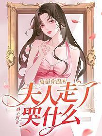 夫人等你离婚