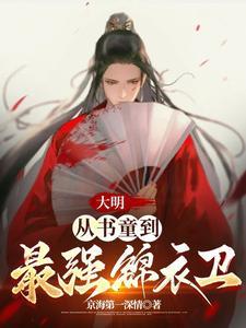 穿越大明书生
