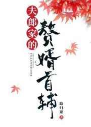 夫郎家的赘婿首辅TXT资源