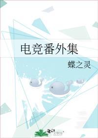 电竞番外集蝶之灵TXT