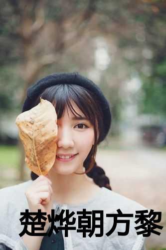 主角楚烨