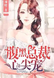腹黑总裁心尖宠1至100集