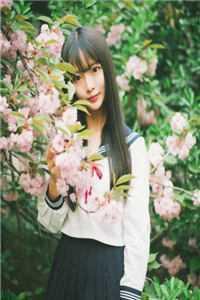攀缠长春花有毒吗