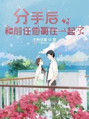 主角苏念北