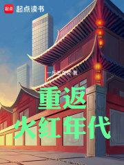 重返火红年代无防盗